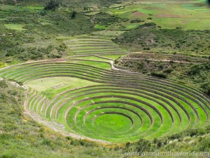 Moray