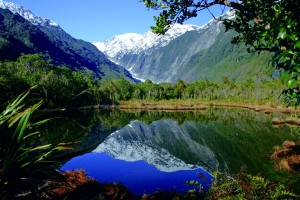 Nature New Zealand