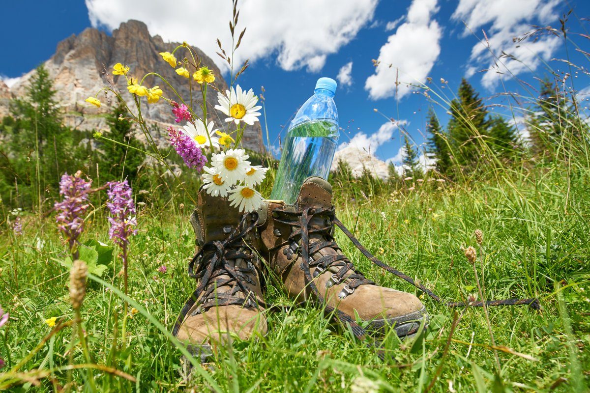 Trekking shoes